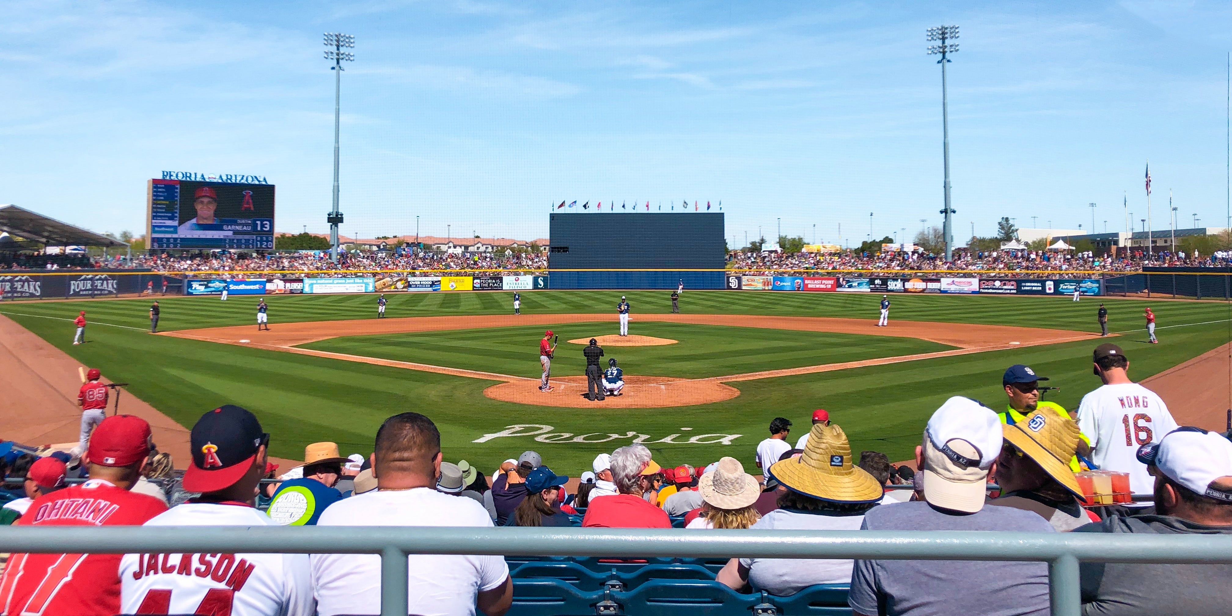 Crowd watching a baseball game